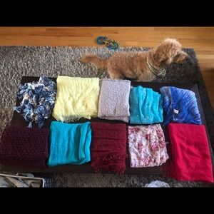 20+ scarves. One price for all